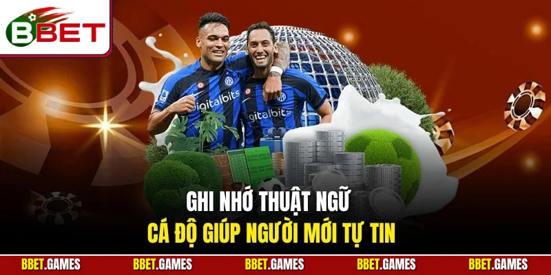 Ghi nhớ thuật ngữ cá độ giúp người mới tự tin