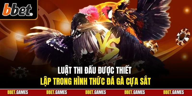 Luật thi đấu được thiết lập trong hình thức đá gà cựa sắt