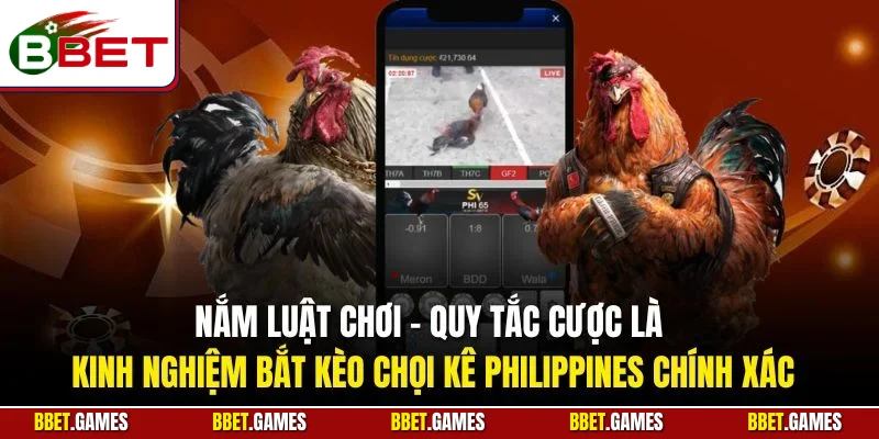 Nắm luật chơi – Quy tắc cược là kinh nghiệm bắt kèo chọi kê Philippines chính xác