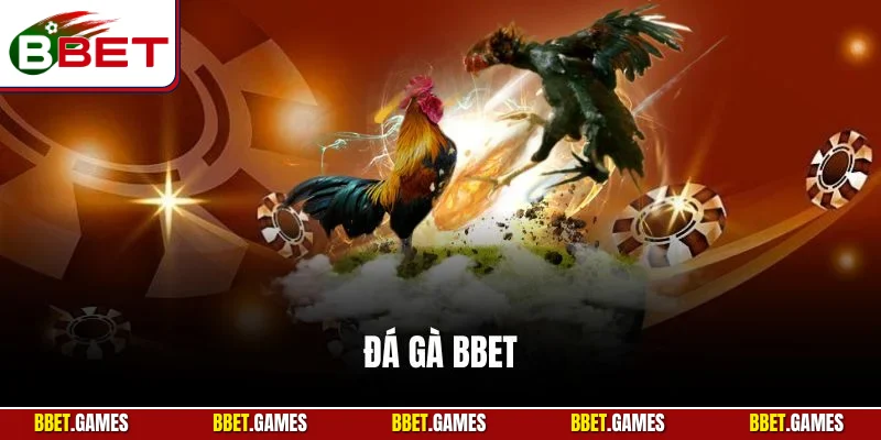 Đá gà bbet - sân chơi kịch tính 2025