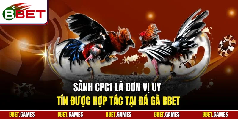 Sảnh CPC1 là đơn vị uy tín được hợp tác tại đá gà BBET
